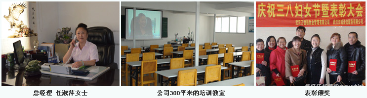 企业介绍