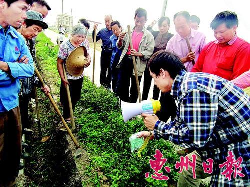 惠城区农业技术人员指导农民防治红火蚁。