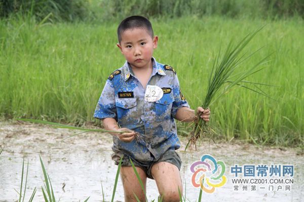 常州第一门户网 中国常州网 常州龙网 常州日报