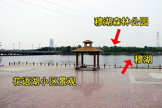 【看房手记】花语湖——穆湖畔的森林住区 把家安在美景中