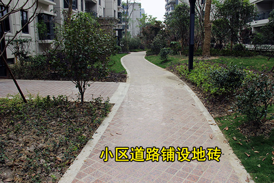 【看房手记】花语湖——穆湖畔的森林住区 把家安在美景中
