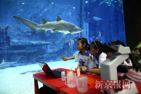 海洋课堂搬进鲨鱼馆
