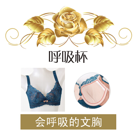 六月玫瑰健康内衣课堂:正确洗晒选内衣