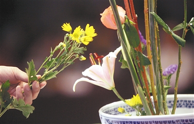 插花调酒厨艺 调剂职场生活