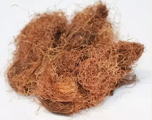 谁说中药一定苦,这15种居家必备的甜中药,好吃又治病!