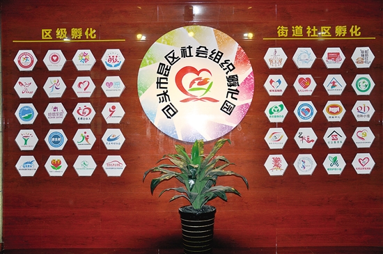 昆都仑区:社会组织+ 服务百姓新思维