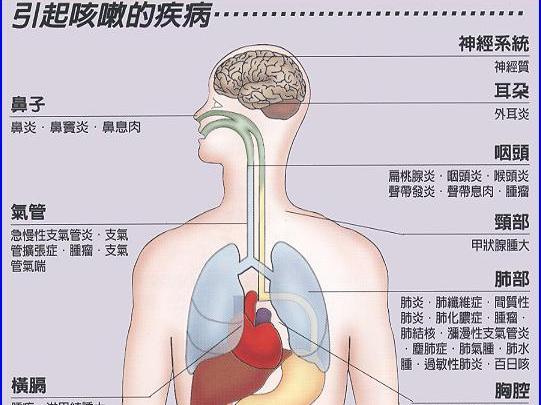 小偏方治大病