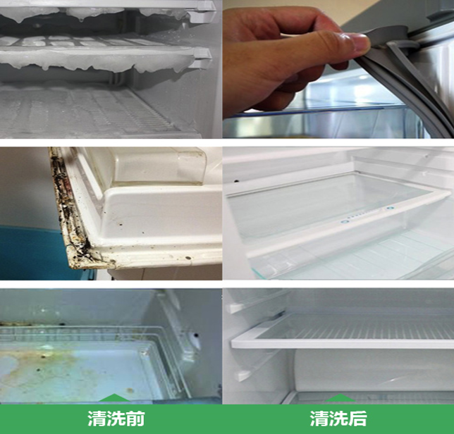 半年不清洗 冰箱变马桶