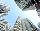 约克郡高层本月销量再度发力教育大盘领衔照母山
