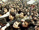 约克郡高层本月销量再度发力教育大盘领衔照母山