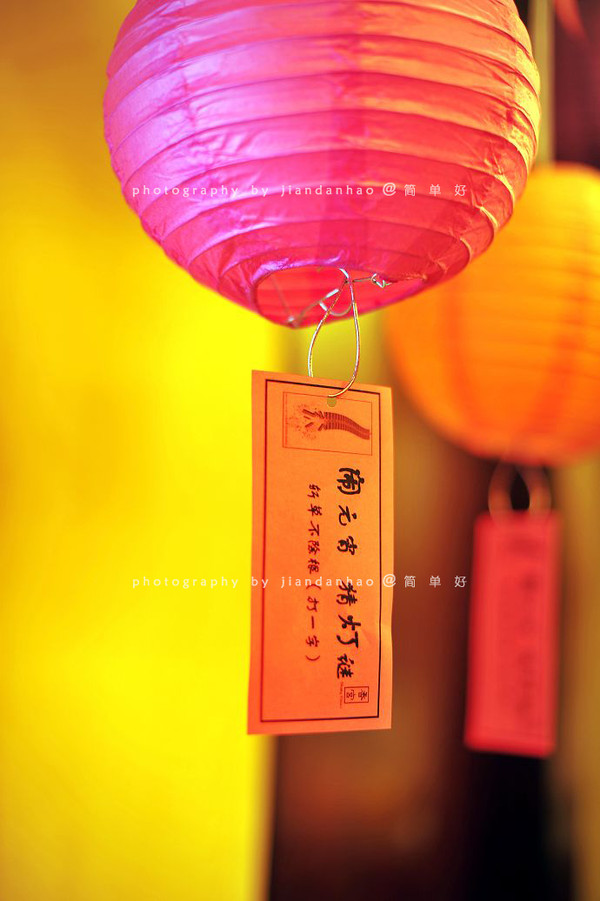 【精彩沈阳】跟宝宝一起学包汤圆