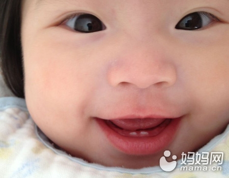 妈妈来帮忙 宝宝萌牙历险记