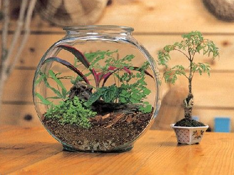 居家过日子、工作奋斗需要牢记的10条风水