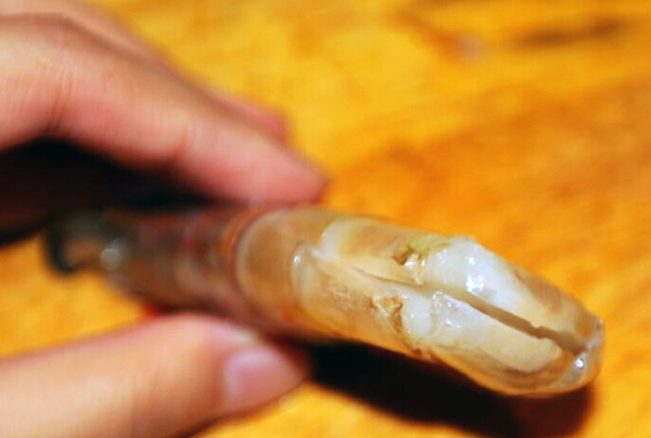 【厨艺课堂】全家都爱的吮指原味虾