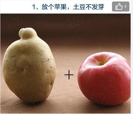 几个居家必备小常识 让您的生活更方便（图）