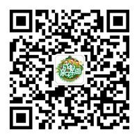 变身小厨师 DIY课堂美食