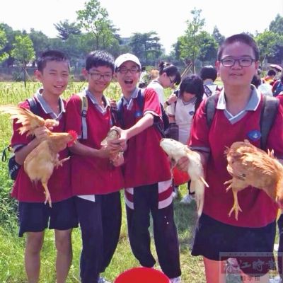 ■野炊活动中,同学们学会了团结协作。 (图片由通讯员提供 ■野炊活动中,同学们学会了团结协作。 (图片由通讯员提供