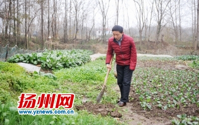 ▲单成学每天回家后还要管理家门前的菜地。 ▲单成学每天回家后还要管理家门前的菜地。