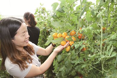 为拓宽农村实用人才培训领域，更好地培育新型农民，