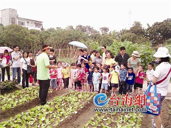 厦中小学心理健康教育从课堂走向户外“开心农