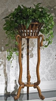 植物或季节性观赏花卉. 关于餐厅、卧室的居家风水我们再