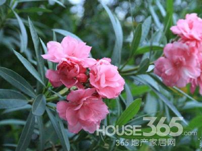 风水禁忌 风水禁忌