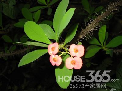 风水禁忌宝典 风水禁忌宝典