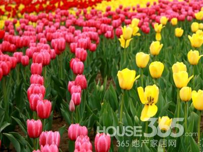 室内禁忌 室内禁忌