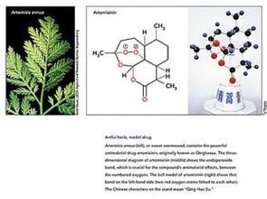 不一样的屠呦呦：性格直率不拍马屁