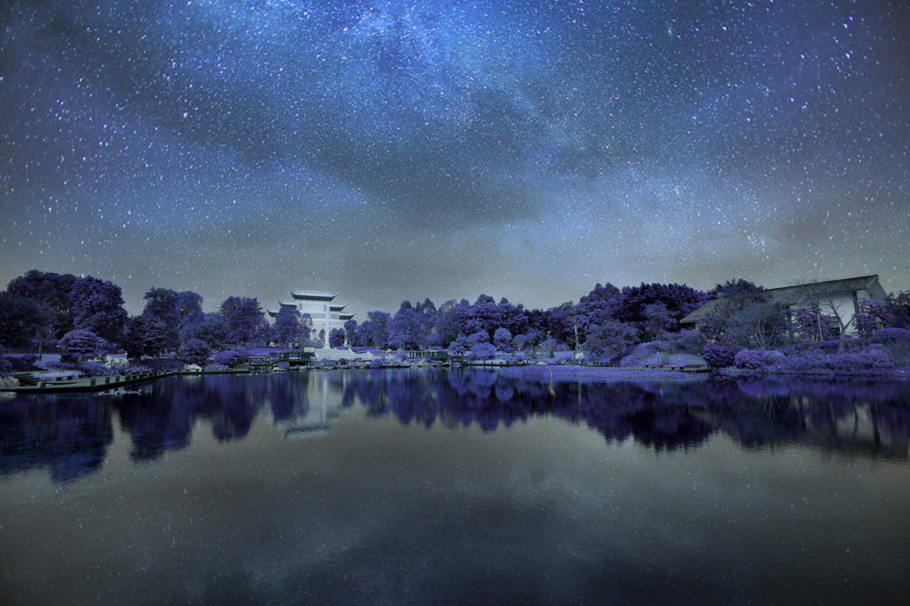 海珠湿地自然课堂： 黑夜里的艺术课