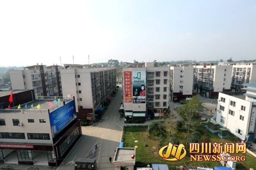 天府新区仁寿视高镇多措并举迎接国家血防达标