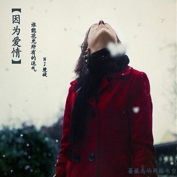 词叫做沉没成本