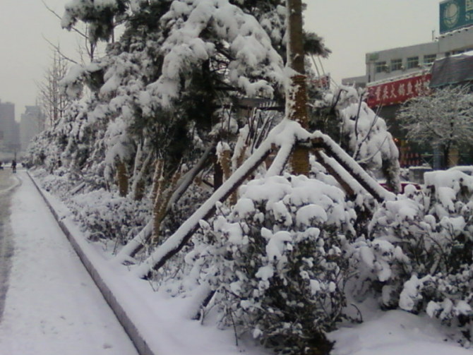 下雪了 印画 花火论坛 