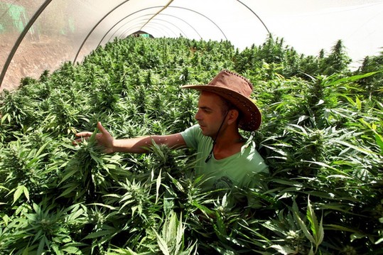 "自慰的艺术"进课堂 盘点各国令人惊讶的奇葩专