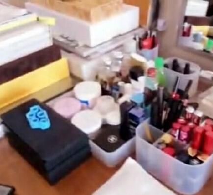 王菲的化妆用品 王菲的化妆用品