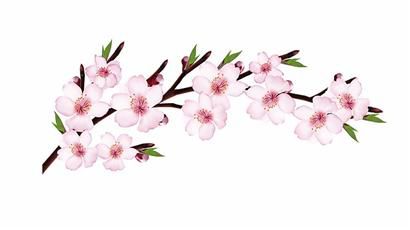 众所周知,日本是世界上人均寿命最长的国家。据相关资料显示,近几十年来,日本的男性公民平均寿命为75.2岁,而女性公民的平均寿命更高,为80.9岁,即便是在政治、经济和文化等方面位居第一的美国,也无法与其比拟。