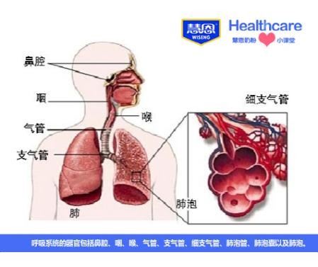 慧恩奶粉小课堂:秋冬季呼吸道疾病防治