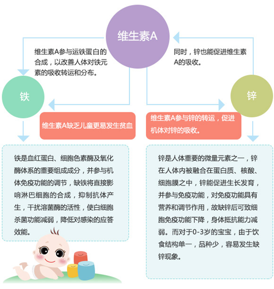 伊可新妈妈课堂:解析增强宝宝“抵抗力”的各类营养素