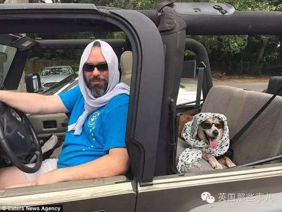 老年狗狗的几十个心愿 被一群热情网友完成了