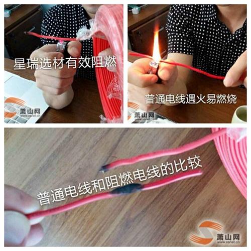 相约星瑞国际家装夏令营,让爱愈久弥香