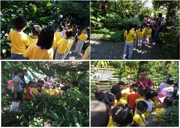 南山佳嘉豪苑幼儿园到仙湖植物园体验自然科普课堂