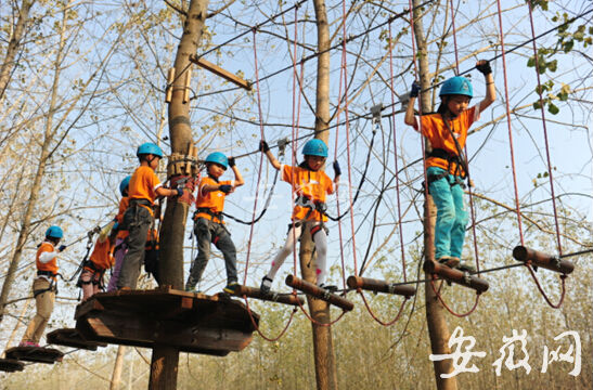 乘火车游园探险 “森林课堂”寓学于玩真开心