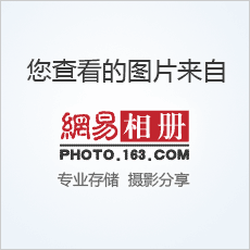 培养幼儿主动探索的学习能力