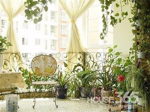室内绿植摆放知识如何旺财又旺运